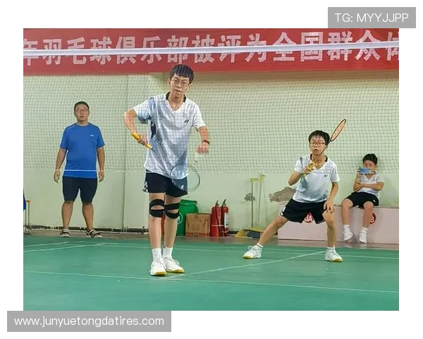羽毛球力量排行榜揭晓北京羽毛球队荣获第八名佳绩
